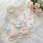 Junior High School Student Bra