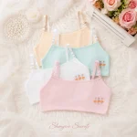 Junior High School Student Bra 2