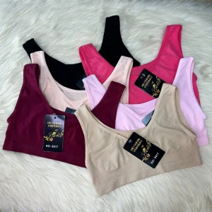 Seamless Comfort Joy Bra