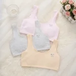 Cotton Teenage Non Paded Bra - Image 2