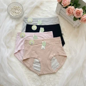 Leak-Proof Period Panty
