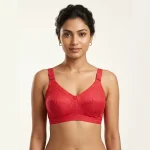 Premium Indian Guddi Bra - Image 5
