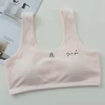Junior High School Student Bra - Image 4