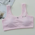 Junior High School Student Bra - Image 3